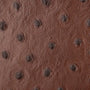 Voyager - ostrich chocolate brown